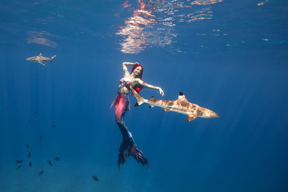 Meerjungfrauen-Urlaub in Palau mit Mermaid Kat