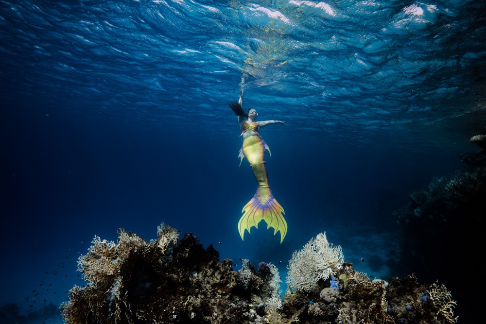Unterwassershooting beim Meerjungfrauenausflug nach Italien